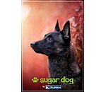 Printable Gift Voucher