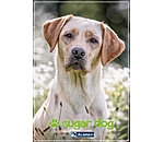 Printable Gift Voucher