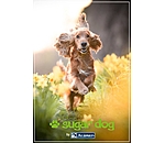 Printable Gift Voucher