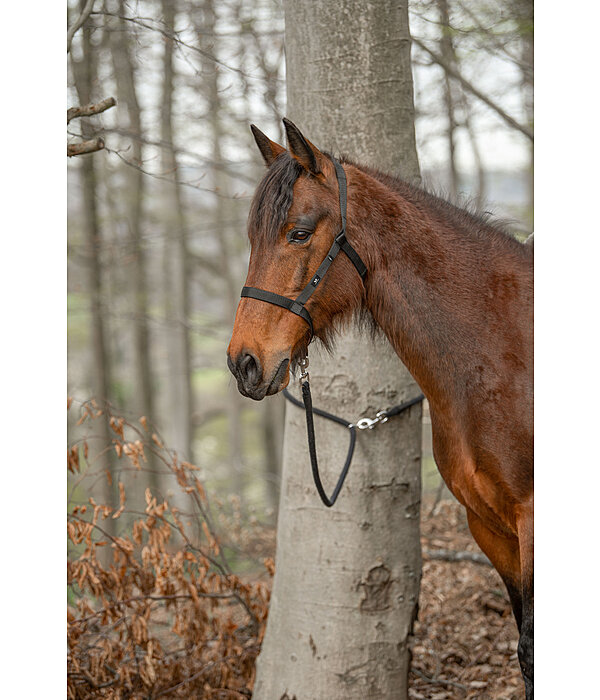 2in1 Horse Trekking Rope Pinewood