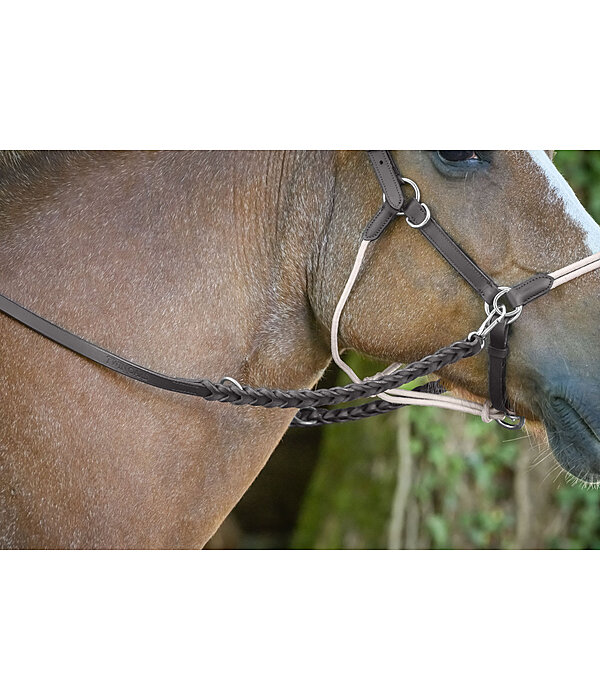 2 in 1 Braided Leather Reins Tromm