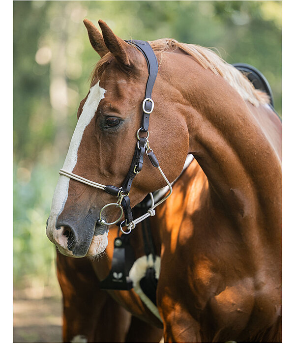 3-in-1 Trekking Bridle Takoda