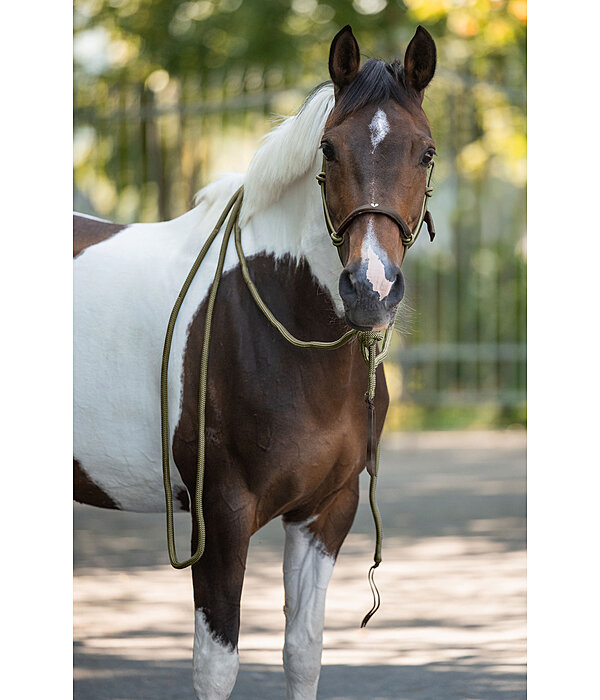 Knot Rope Halter Merano with Mecate