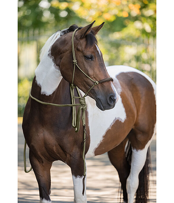 Knot Rope Halter Merano with Mecate