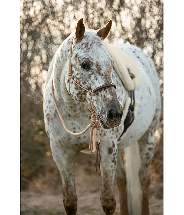 Knot Rope Halter Merano with Mecate