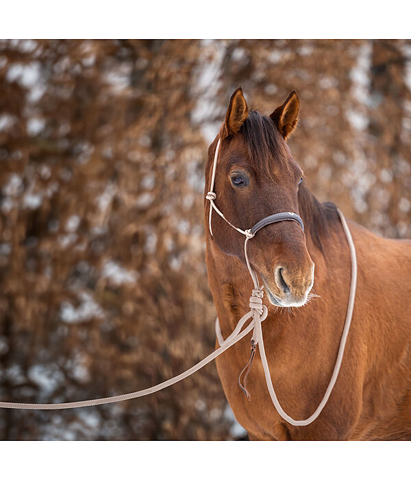 Knot Rope Halter Merano with Mecate