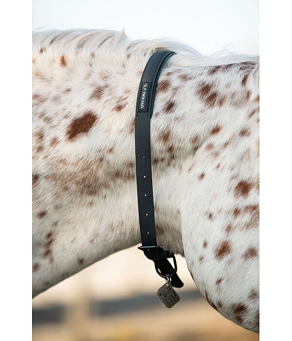 Horse Neck Strap Loki