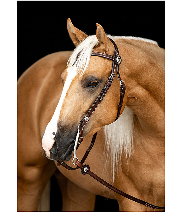 Western Bridle with Reins