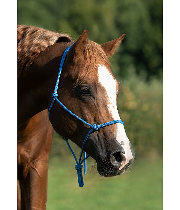 Quality Rope Halter