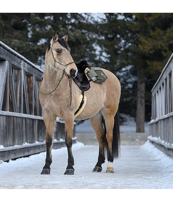 Cotton Reins Trekking