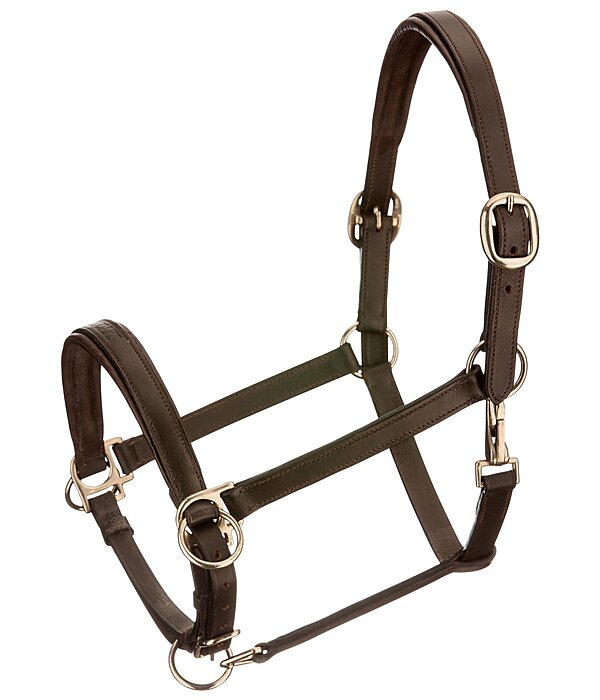 Horse Trekking Sidepull