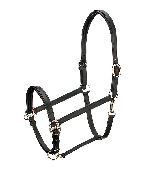 Horse Trekking Sidepull