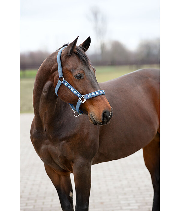 Halter Stone