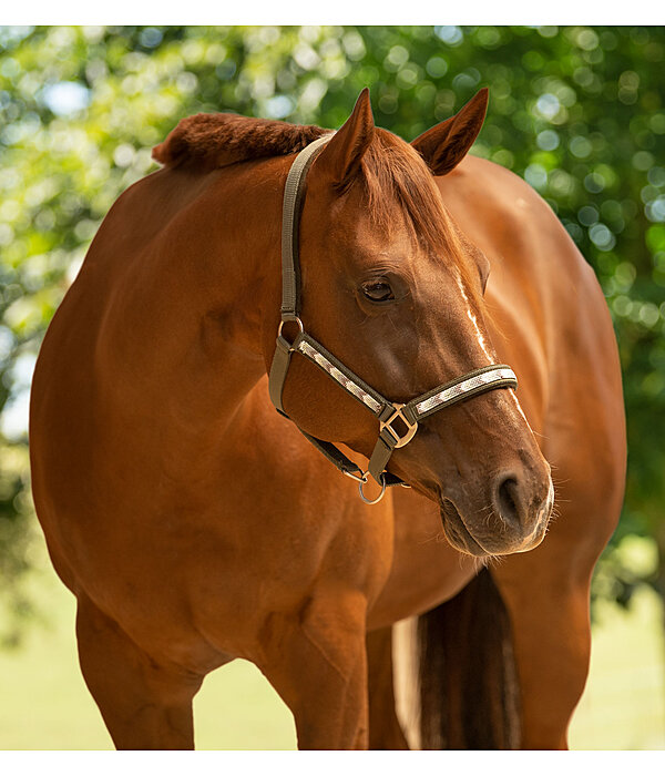 Halter Stone