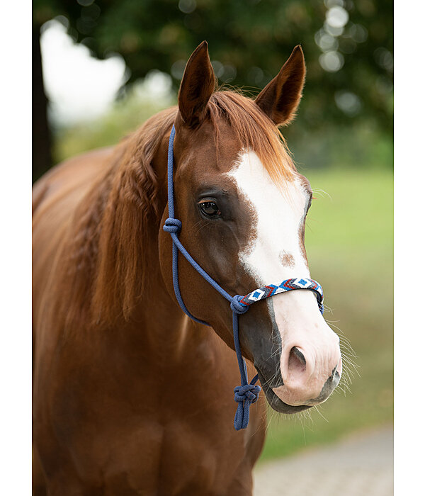 Rope Halter Beaded