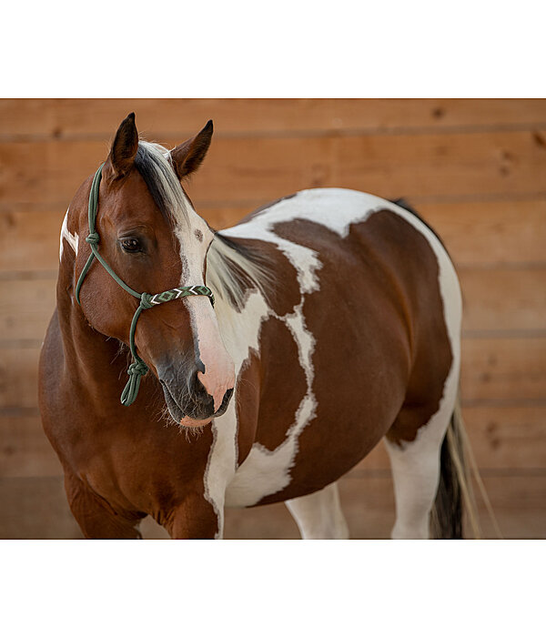 Rope Halter Beaded