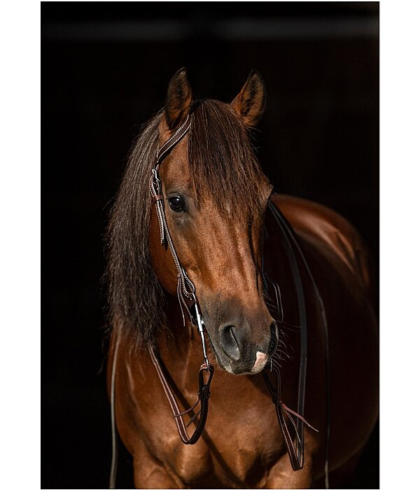 One Ear Headstall Basic