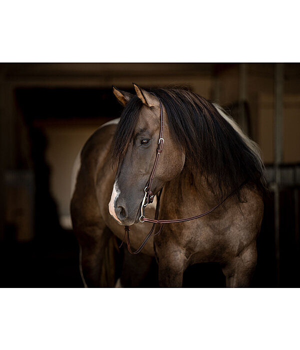 One Ear Headstall Basic