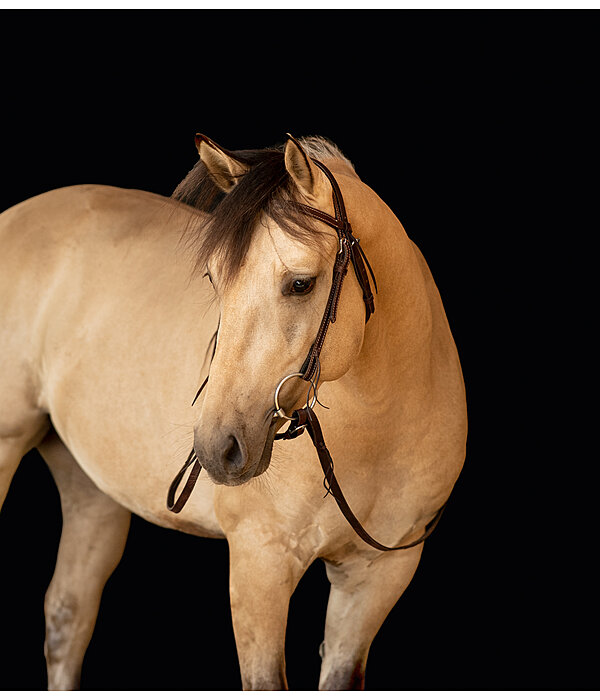 Western Headstall Basic