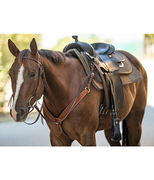 Western Headstall Basic