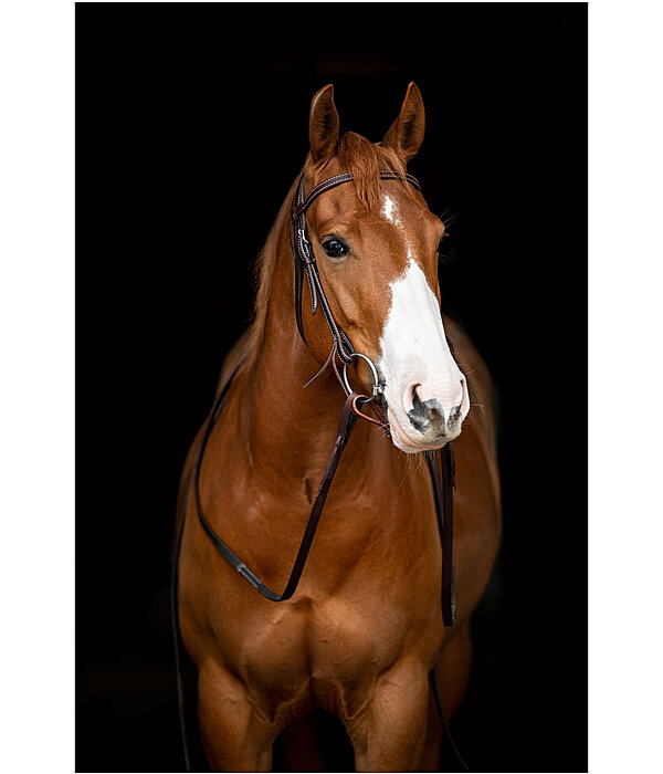 Western Headstall Basic