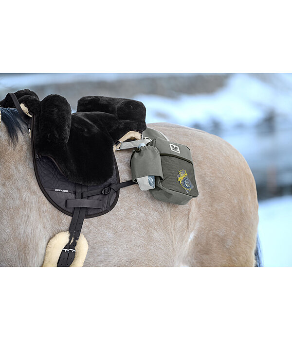 Saddle Bag Tampa