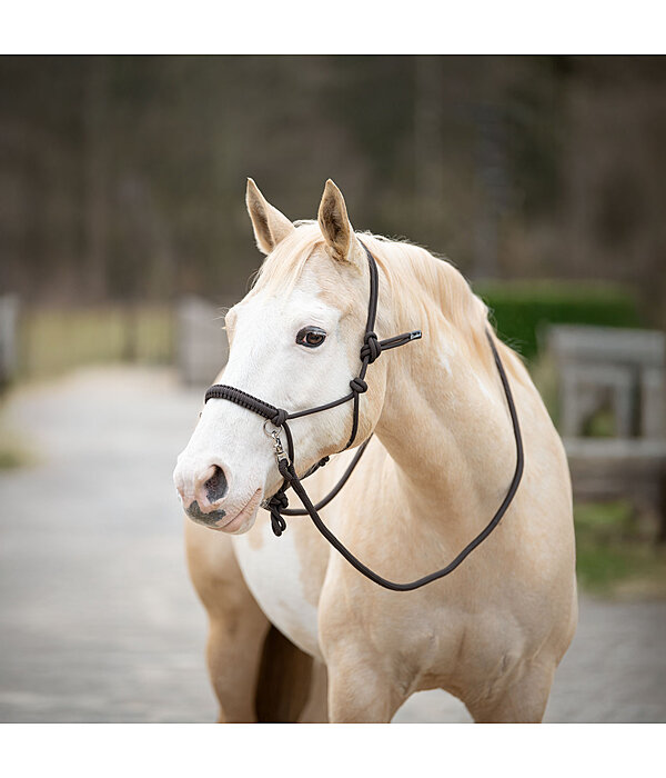 Rope Halter Set All-in-One