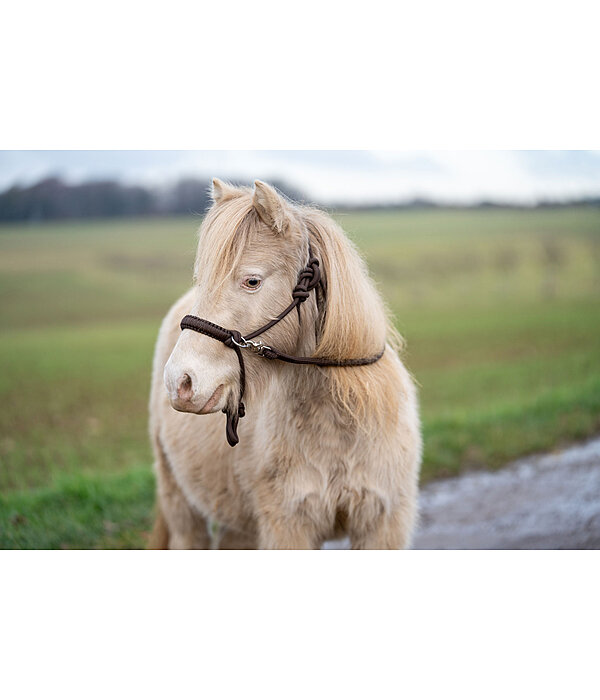 Rope Halter Set All-in-One