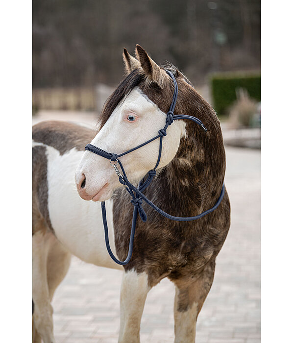 Rope Halter Set All-in-One