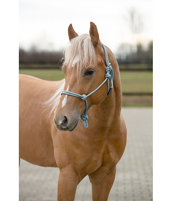 Rope Halter Bo
