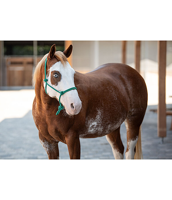 Rope Halter Bo