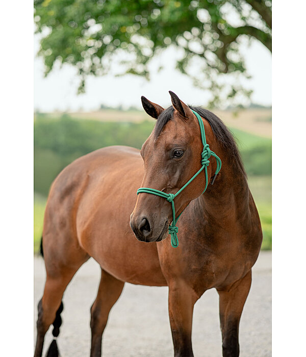 Rope Halter Bo