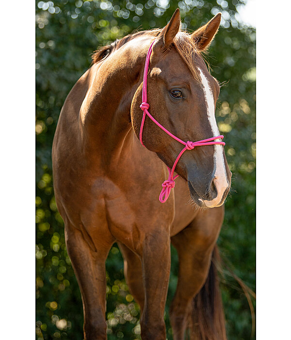 Rope Halter Bo