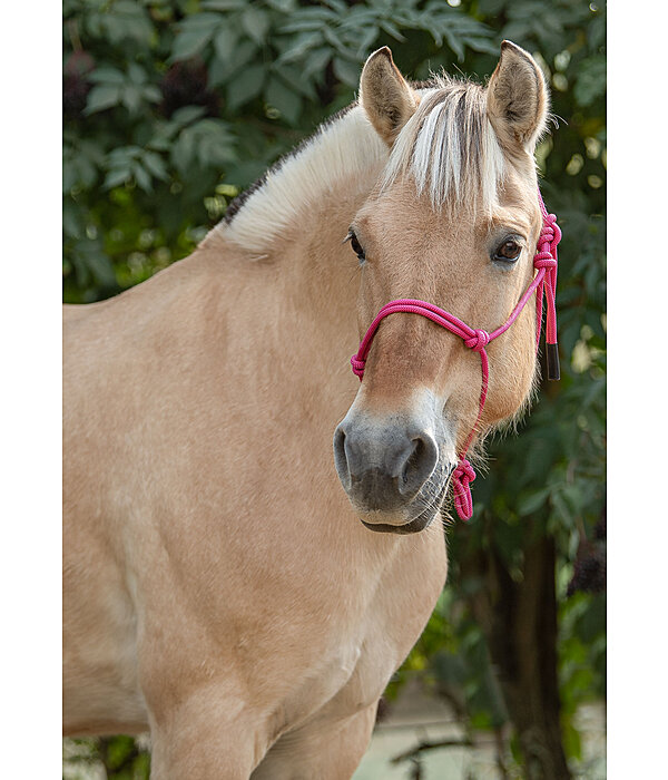 Rope Halter Bo