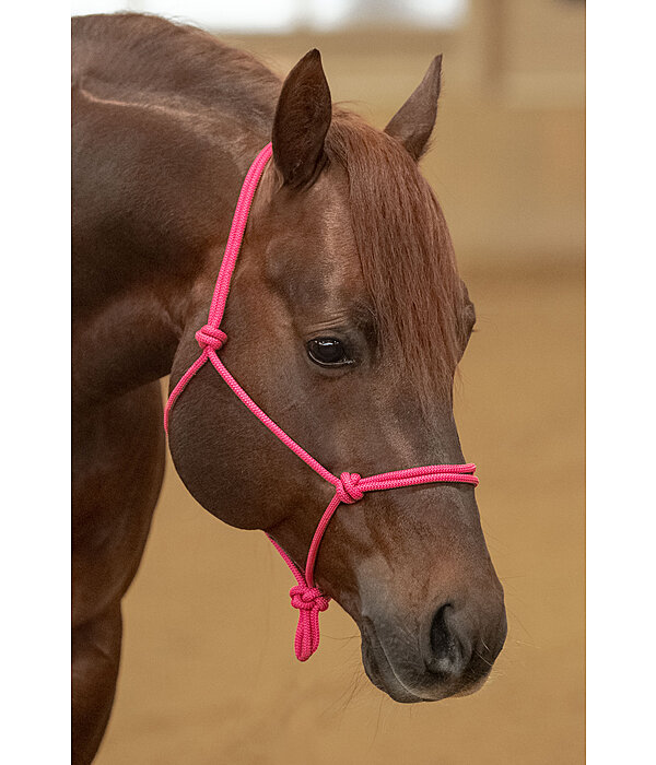 Rope Halter Bo