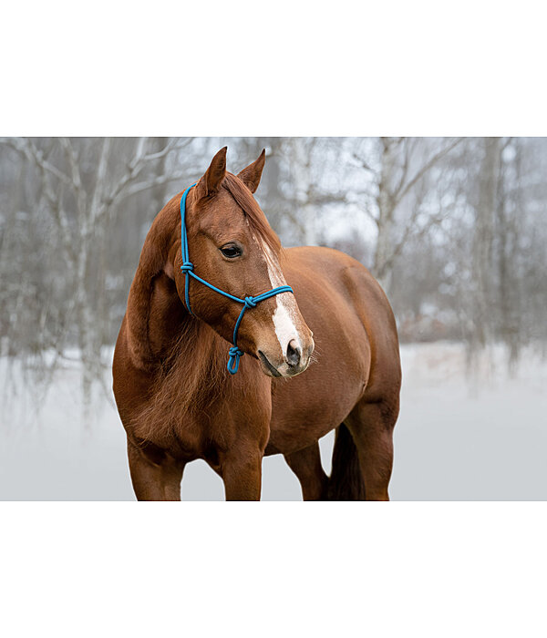 Rope Halter Bo