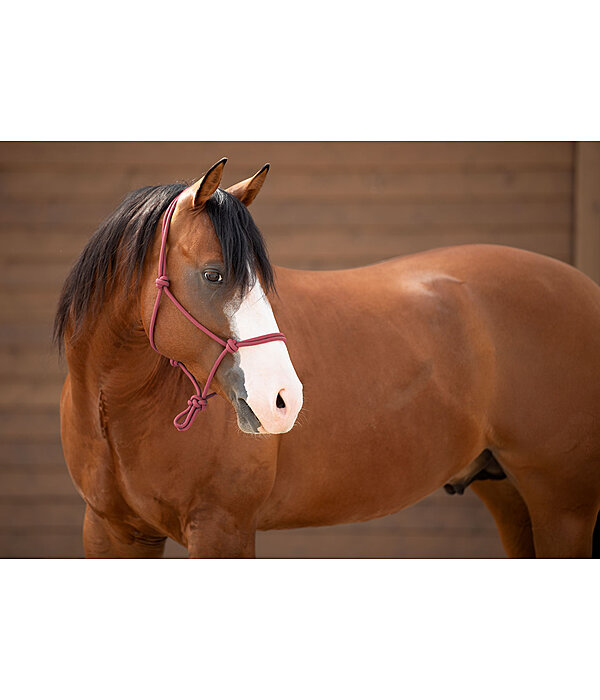 Rope Halter Bo