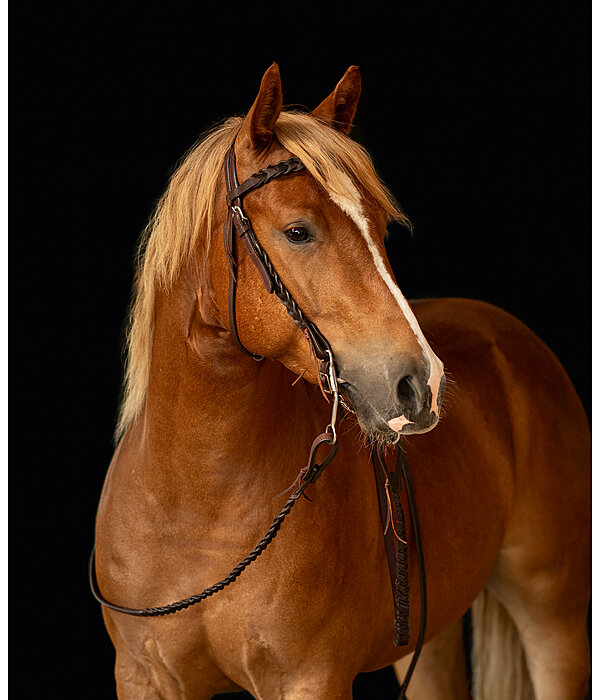 Western Headstall Wilco