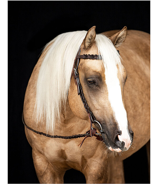 Western Headstall Wilco