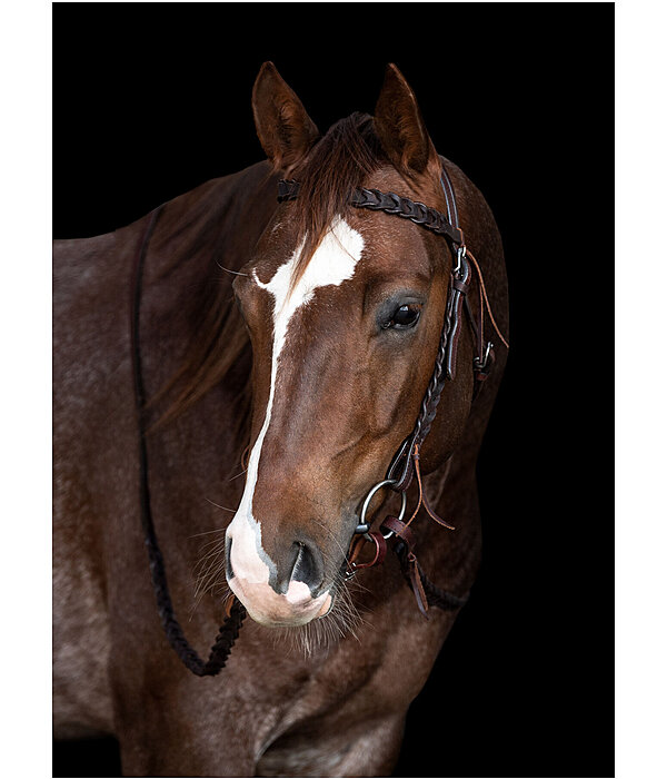 Western Headstall Wilco