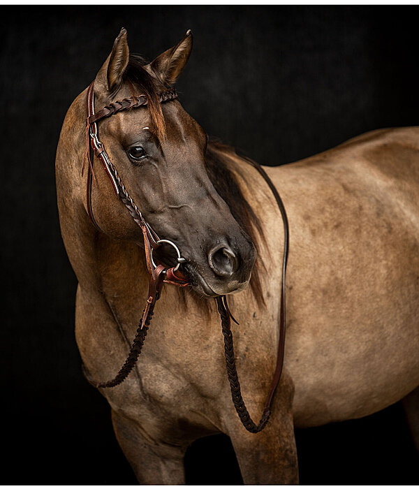 Western Headstall Wilco