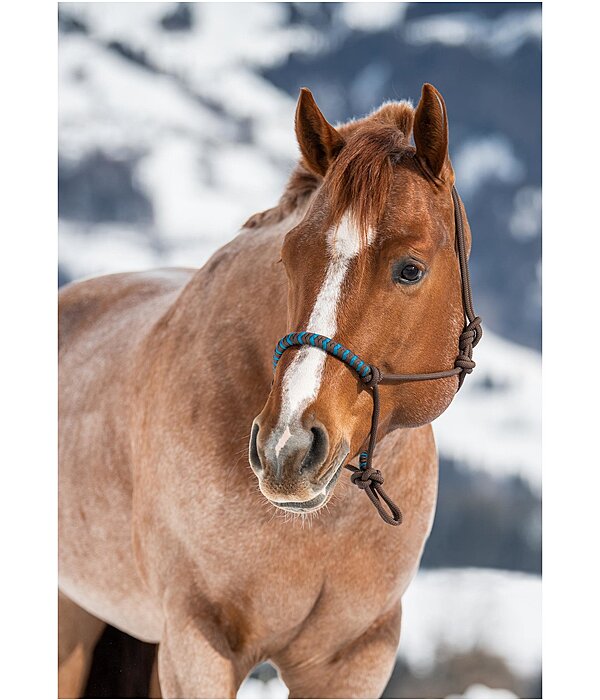 Rope Halter Twister