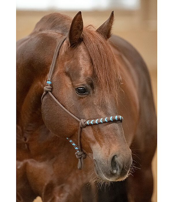 Rope Halter Twister