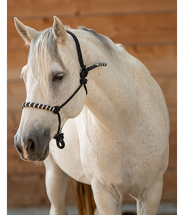 Rope Halter Twister