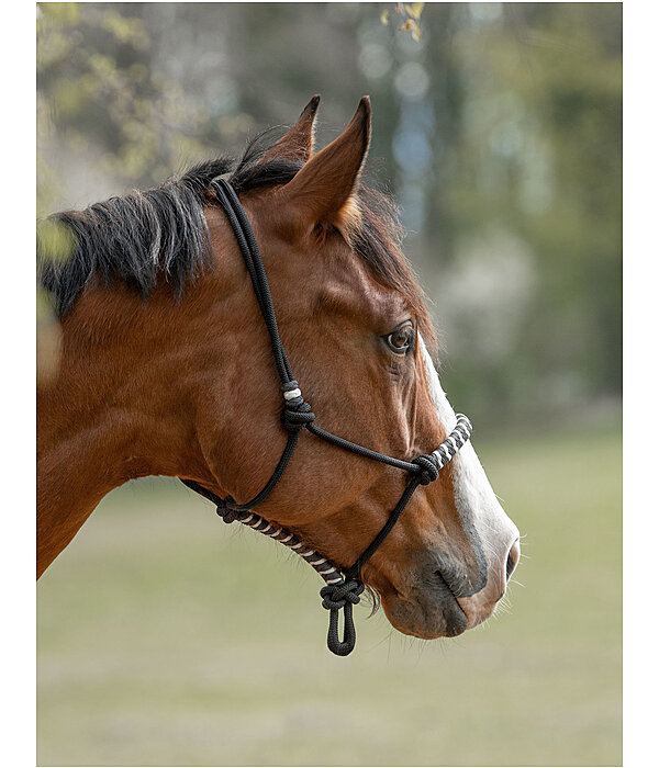 Rope Halter Twister