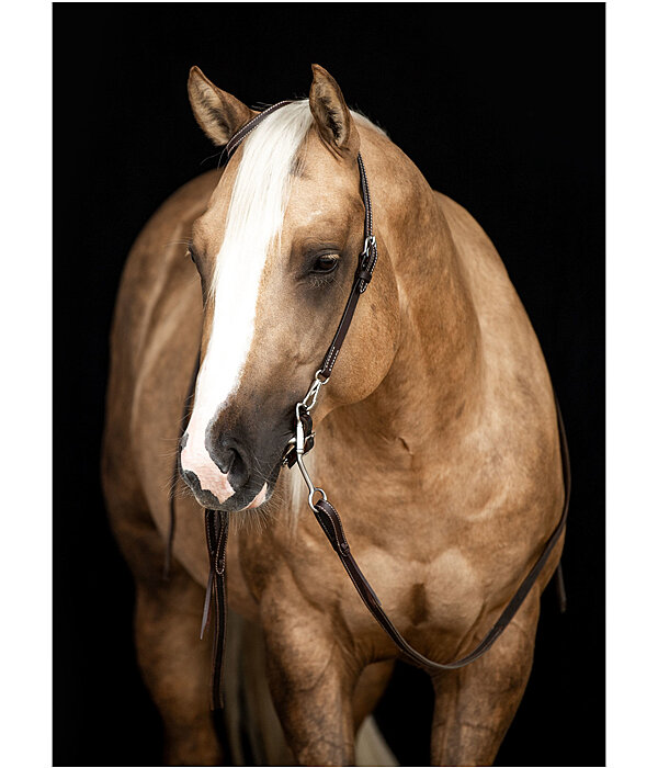 Mix & Match Western Reins Tie End