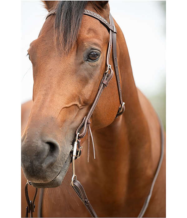 Mix & Match Browband Set Basic