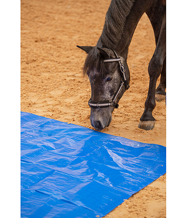 Training Tarpaulin