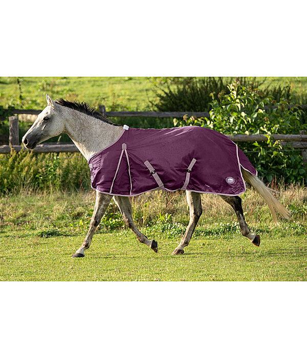 Fly Rug Breeze