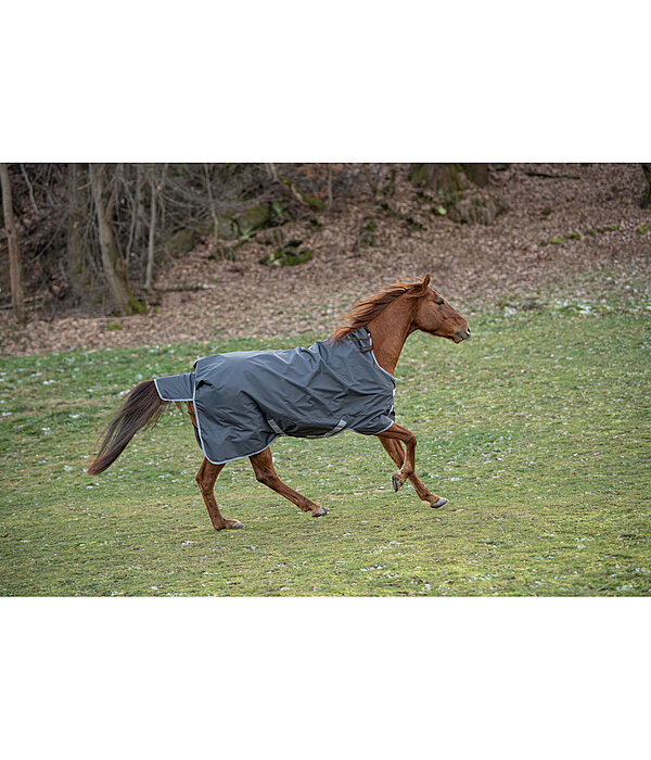 Lightweight Turnout Rug Forrest